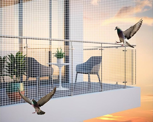 Bird Netting Installation